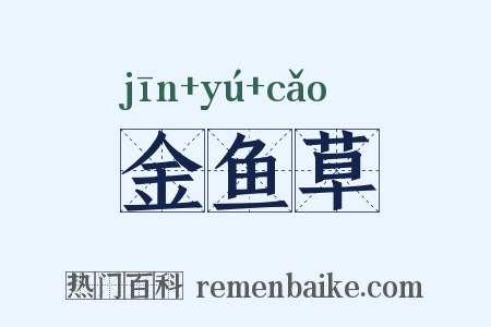 金鱼草是什么意思的图片
